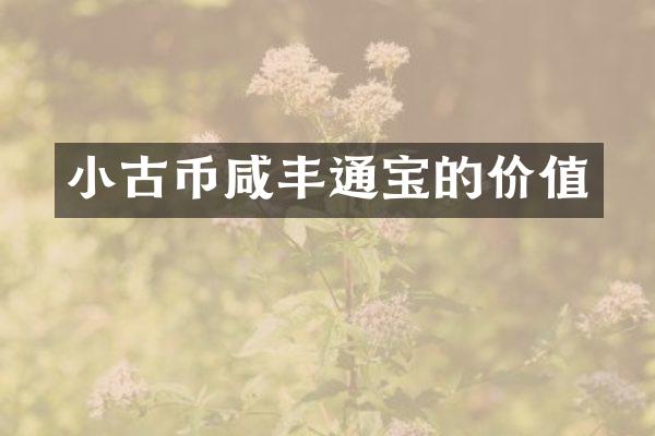 小古币咸丰通宝的价值