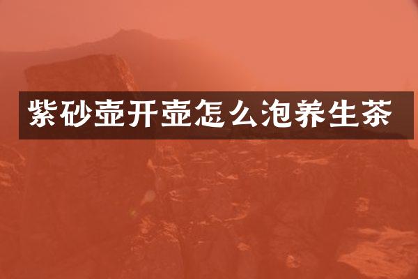 紫砂壶开壶怎么泡养生茶