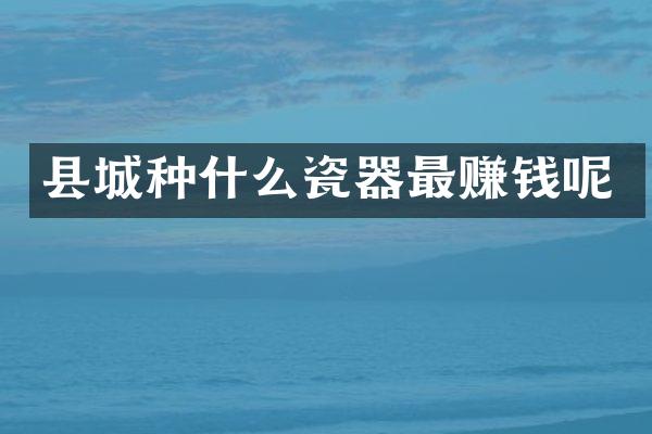 县城种什么瓷器最赚钱呢