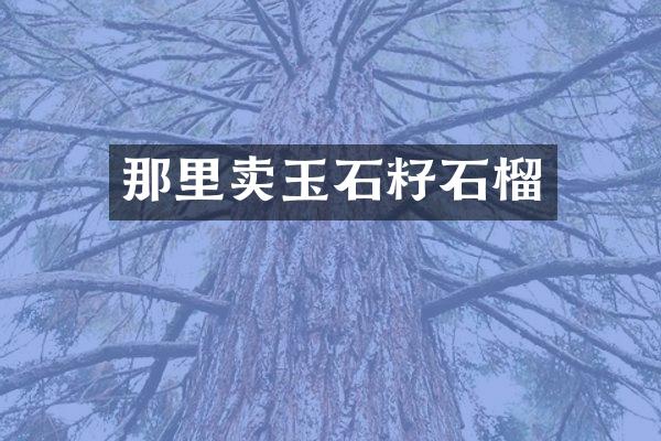 那里卖玉石籽石榴