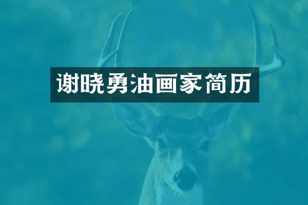 谢晓勇油画家简历