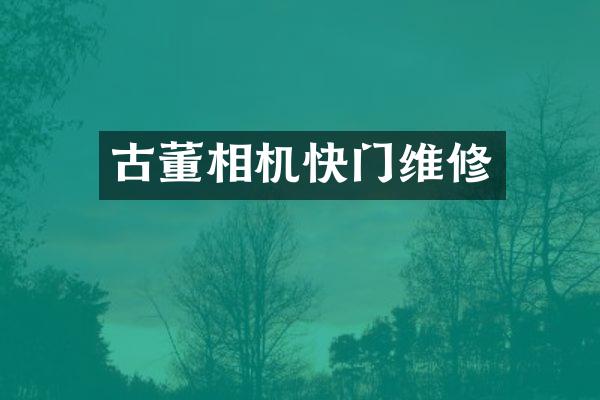 古董相机快门维修