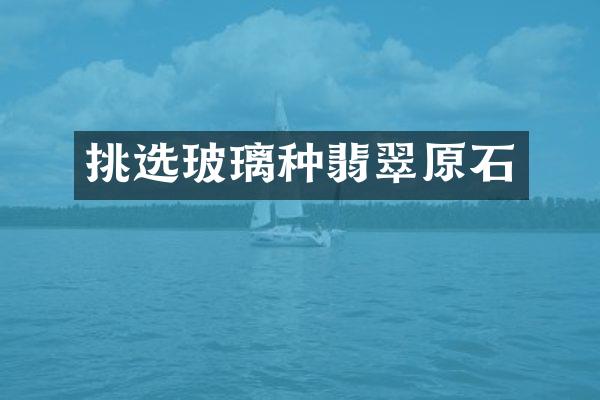 挑选玻璃种翡翠原石