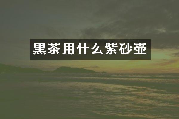 黑茶用什么紫砂壶