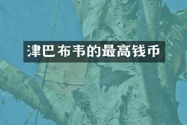 津巴布韦的最高钱币