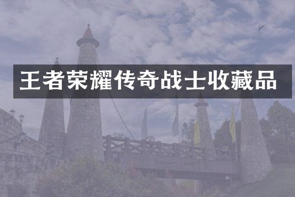 王者荣耀传奇战士收藏品
