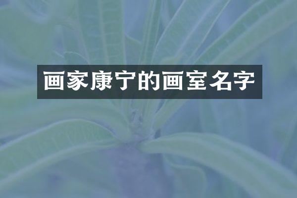画家康宁的画室名字