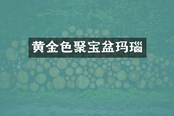 黄金色聚宝盆玛瑙