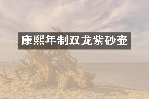 康熙年制双龙紫砂壶