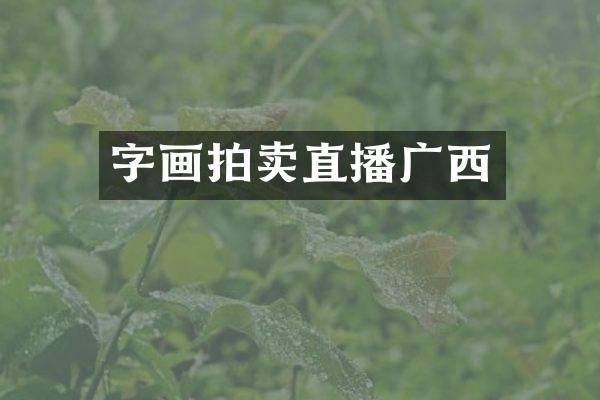 字画拍卖直播广西