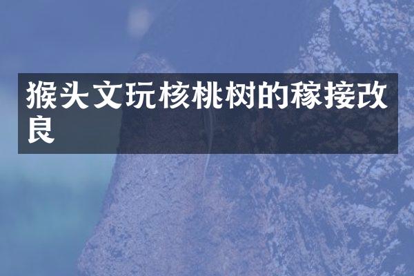 猴头文玩核桃树的稼接改良