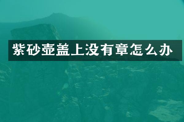 紫砂壶盖上没有章怎么办