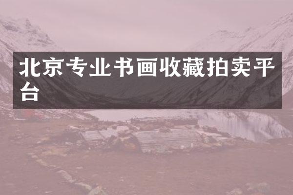 北京专业书画收藏拍卖平台