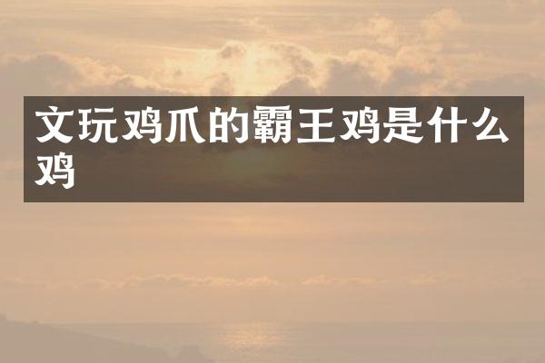 文爪的霸王鸡是什么鸡