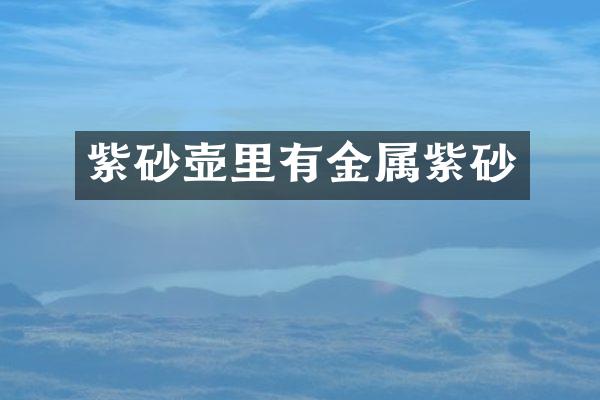 紫砂壶里有金属紫砂