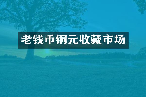 老钱币铜元收藏市场