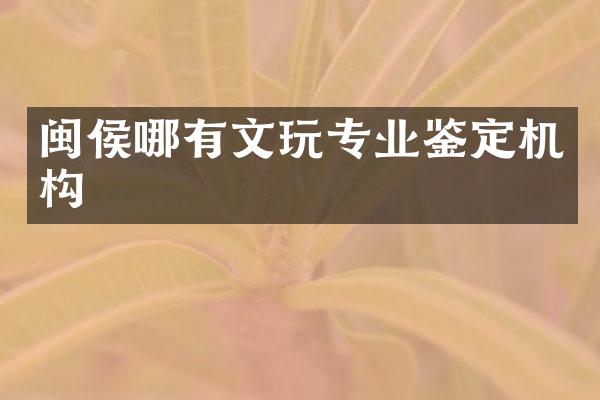 闽侯哪有文玩专业鉴定机构