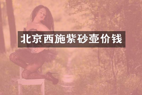 北京西施紫砂壶价钱