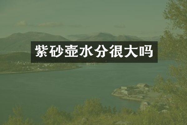 紫砂壶水分很大吗