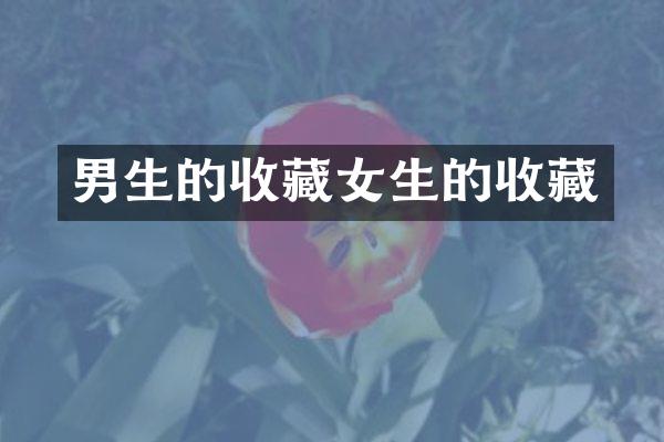 男生的收藏女生的收藏