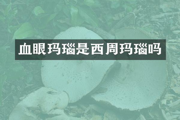 血眼玛瑙是西周玛瑙吗