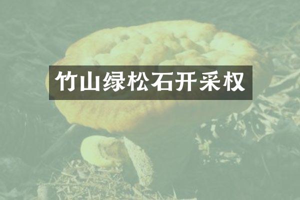 竹山绿松石开采权