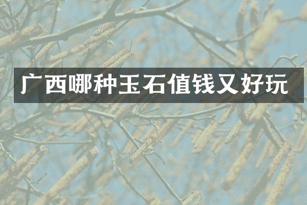 广西哪种玉石值钱又好玩