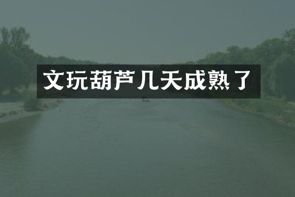 文玩葫芦几天成熟了