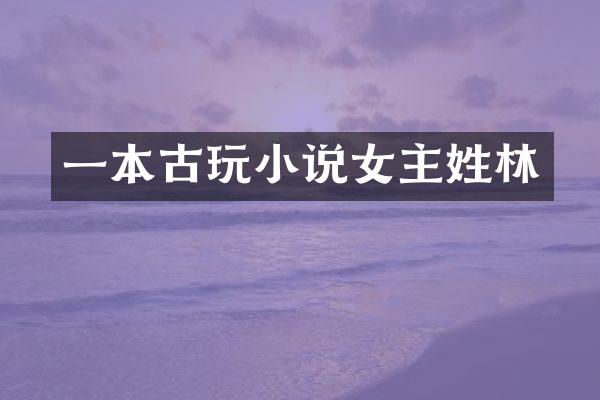 一本古玩小说女主姓林