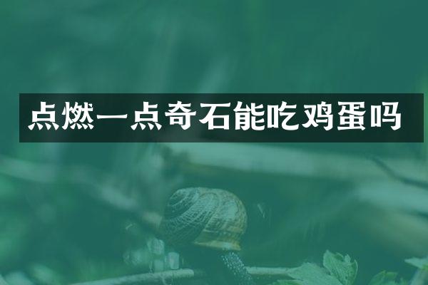 点燃一点奇石能吃鸡蛋吗