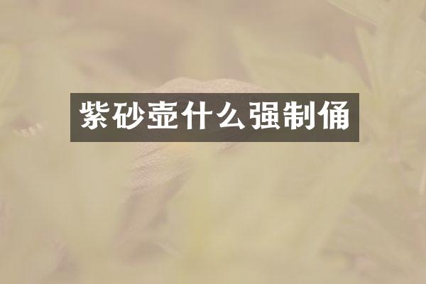 紫砂壶什么强制俑