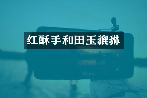 红酥手和田玉貔貅