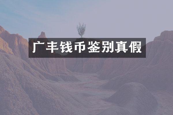 广丰钱币鉴别真假