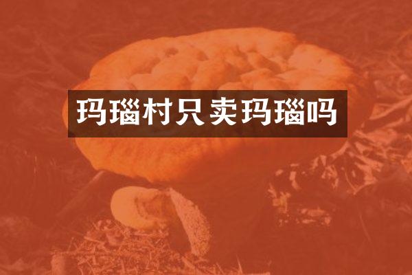 玛瑙村只卖玛瑙吗