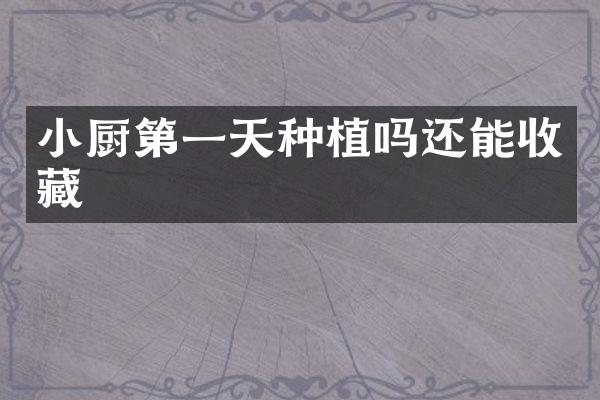 小厨第一天种植吗还能收藏
