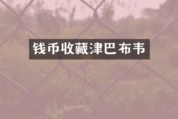 钱币收藏津巴布韦