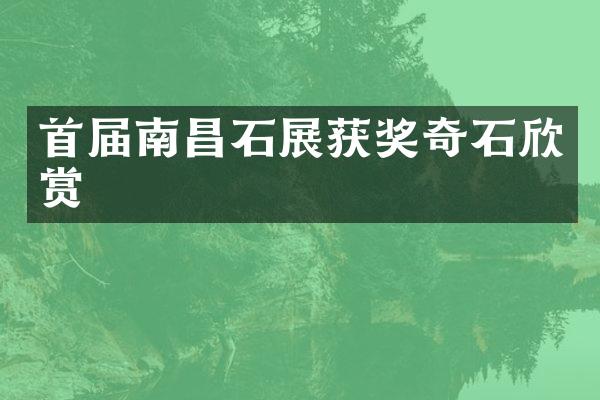 首届南昌石展奇石欣赏