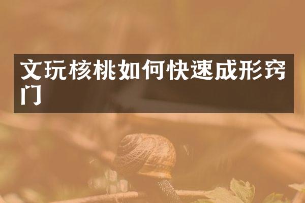 文玩核桃如何快速成形窍门