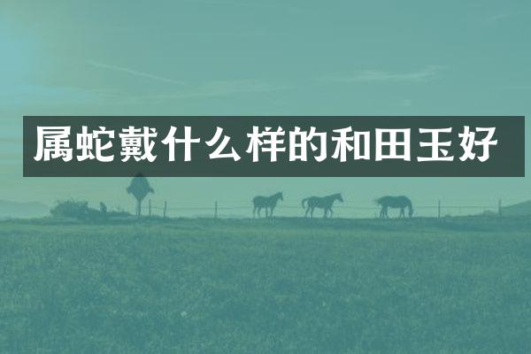 属蛇戴什么样的和田玉好