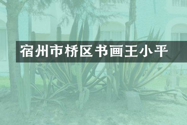 宿州市埇桥区书画王小平