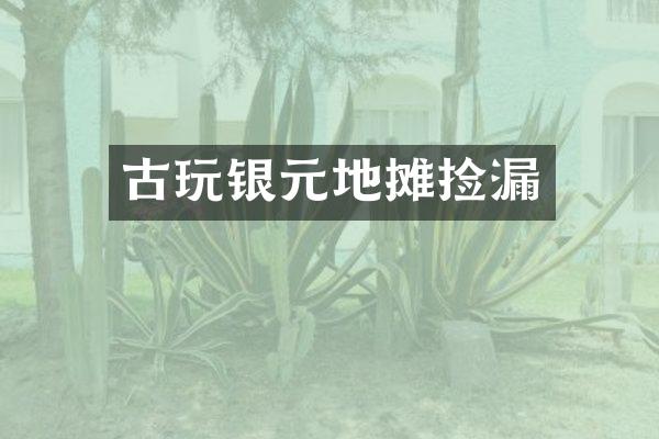 古玩银元地摊捡漏