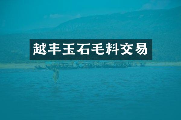 越丰玉石毛料交易