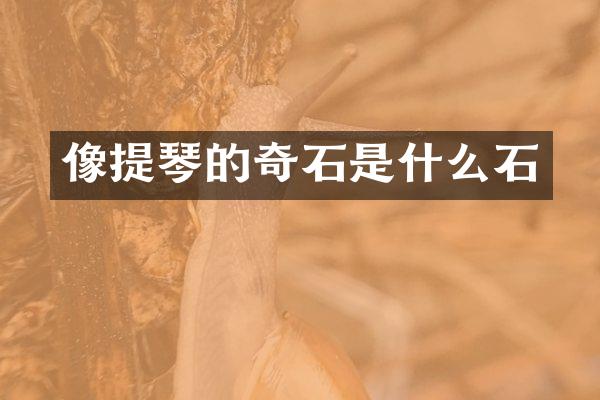 像提琴的奇石是什么石