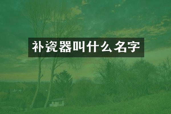补瓷器叫什么名字