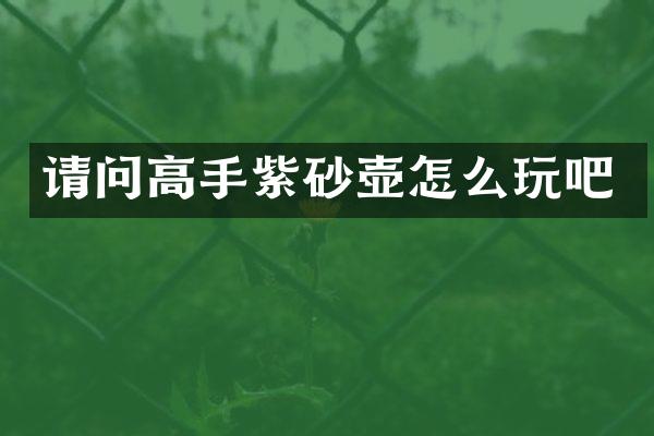 请问高手紫砂壶怎么玩吧