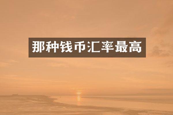 那种钱币汇率最高