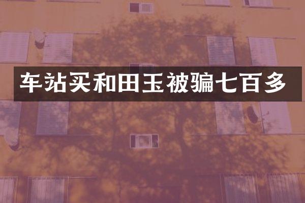 车站买和田玉被骗七百多