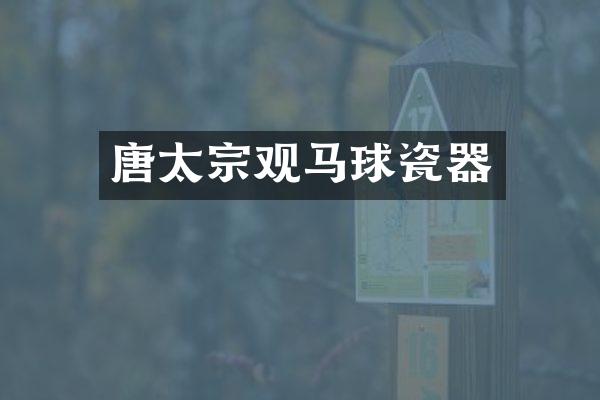 唐太宗观马球瓷器