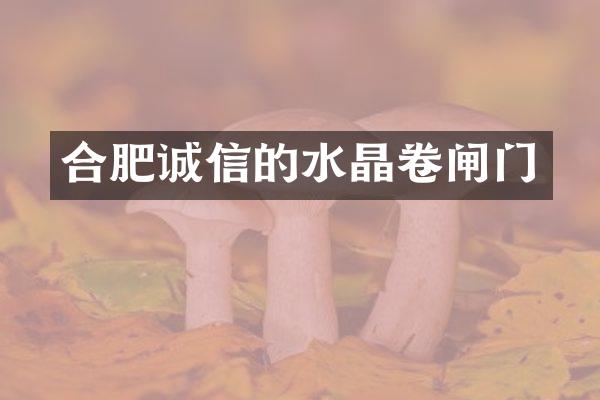 合肥诚信的水晶卷闸门