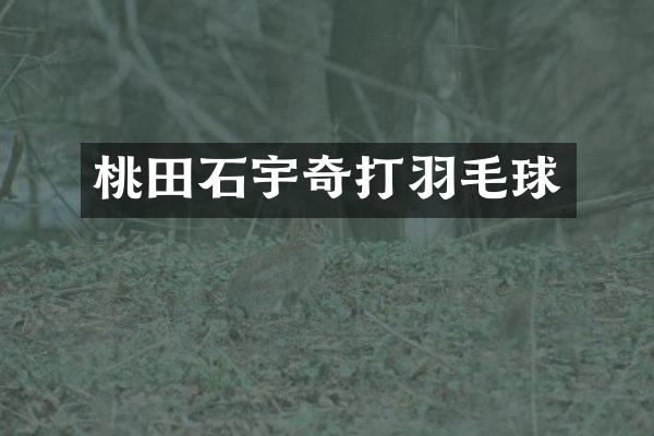 桃田石宇奇打羽毛球